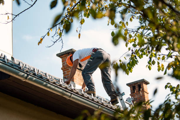 Best Roof Maintenance Services  in Grizzly Flats, CA