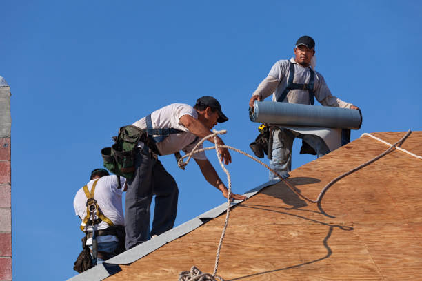 Best Shingle Roofing Installation  in Grizzly Flats, CA