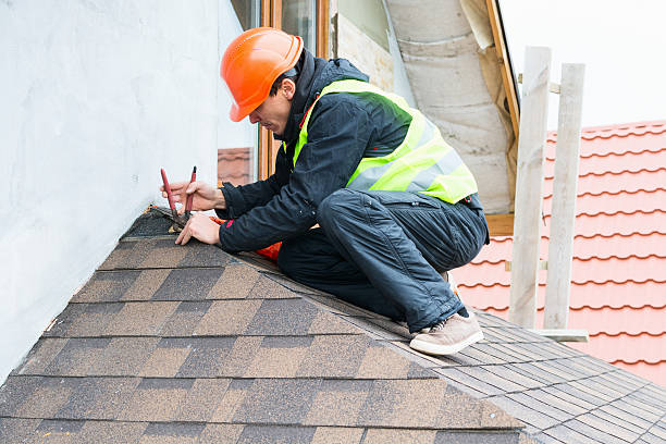 Best Roof Gutter Cleaning  in Grizzly Flats, CA