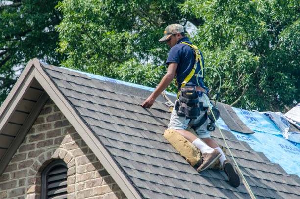 Quick and Trustworthy Emergency Roof Repair Services in Grizzly Flats, CA
